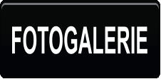 FOTOGALERIE