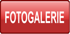 FOTOGALERIE