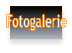 Fotogalerie