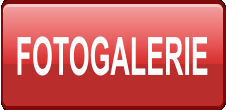 FOTOGALERIE