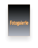 Fotogalerie